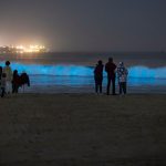 Long Beach gets rare waves with mega swell — and they glowed at night