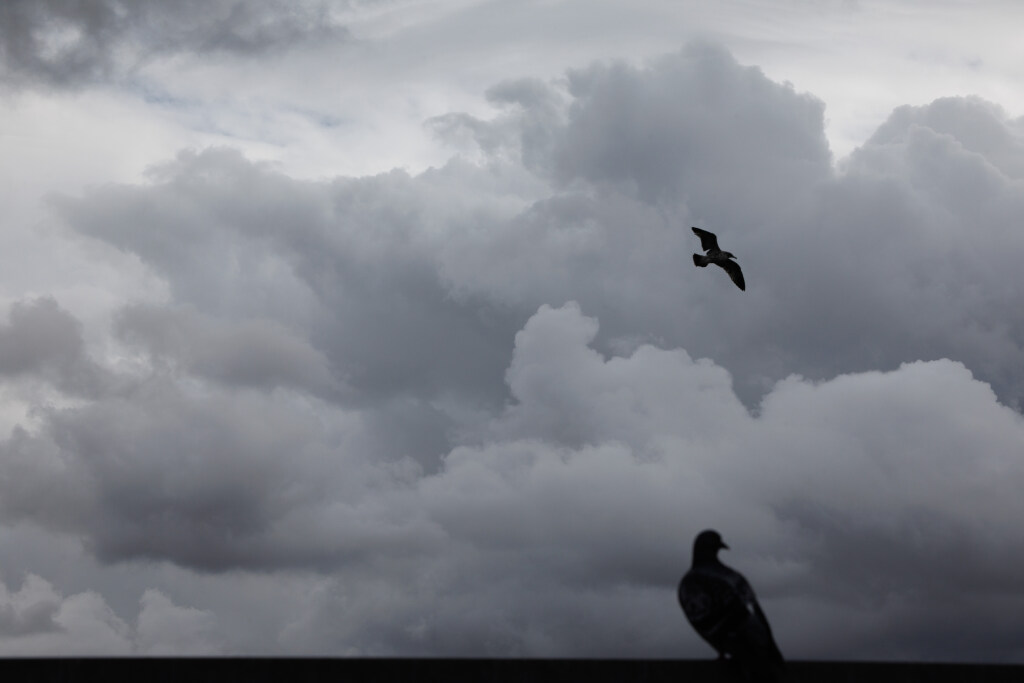 Rain expected in Bay Area by Sunday. Forecasters say it may not stop for a while