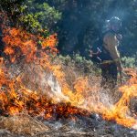 Smoke exposure from California’s wildfire-busting controlled burns is raising concerns. Are they safe?