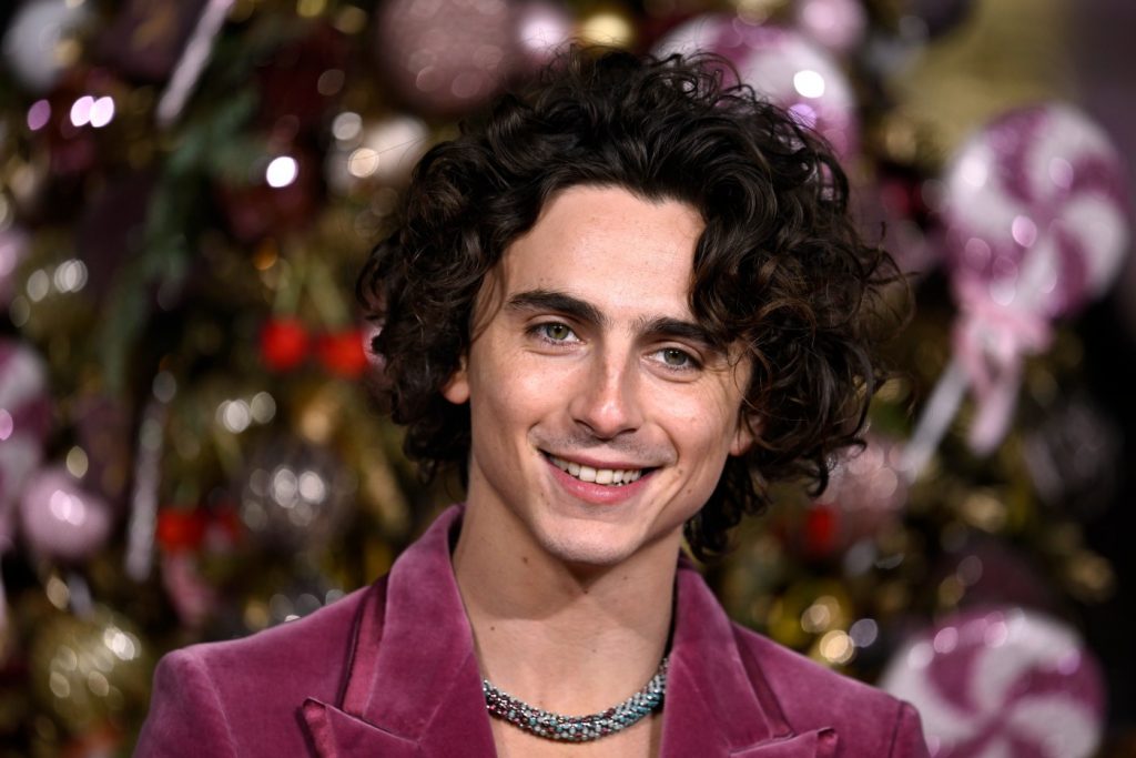 Horoscopes Dec. 27, 2023: Timothee Chalamet, gain respect and encouragement