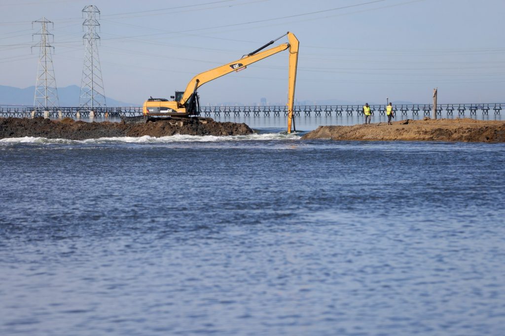 Re-wilding San Francisco Bay, one pond at a time