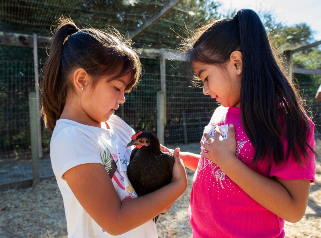 At Farm Discovery at Live Earth, kids get up close with farm animals and see how their food is grown
