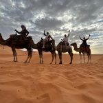 Wish You Were Here: Astride camels in the Sahara Desert