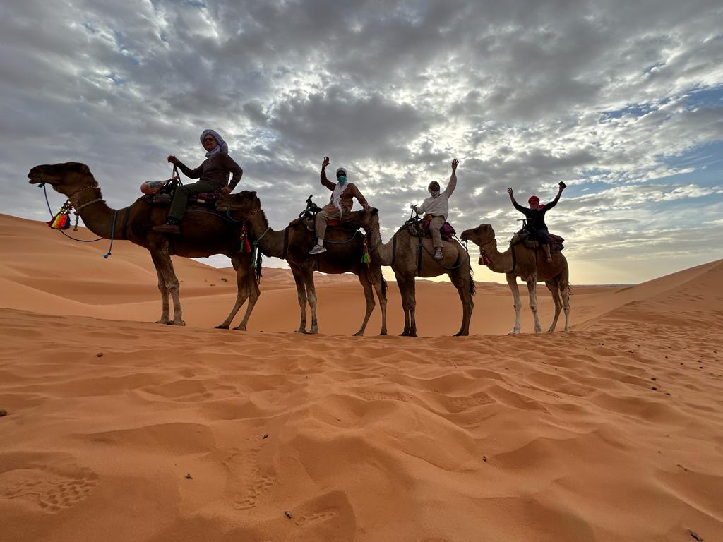 Wish You Were Here: Astride camels in the Sahara Desert