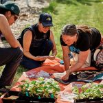 Food sovereignty movement sprouts as bison return to indigenous communities