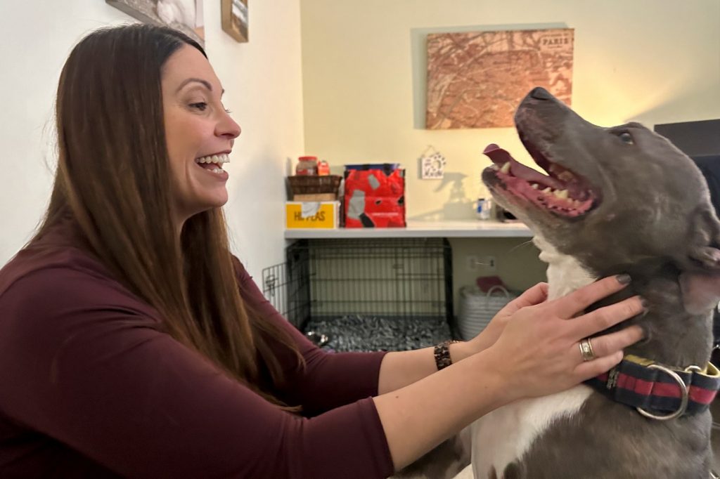 Housing woes, economy leave shelters full of abandoned pets