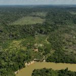 Brazil sues meatpackers over Amazon deforestation