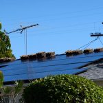 What’s happened since California cut home solar payments? Demand has plunged 80% 