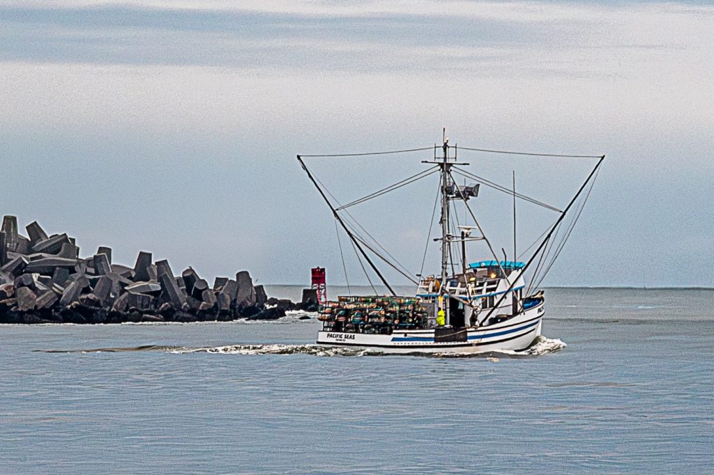 First crab hauls come ashore, but California fishermen frustrated by $3 price point