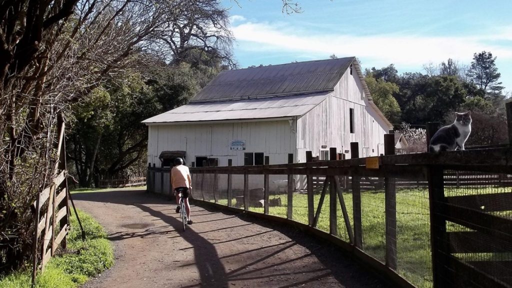 Cupertino completes bike lanes for better access to Rancho San Antonio