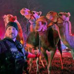 Zebras, camels and flames, oh my! Circus animals rescued after truck catches fire on Indiana highway