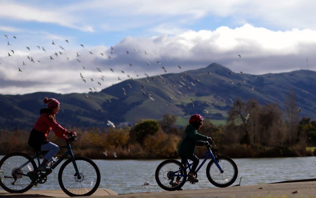 Bay Area weather: How much rain did we get?