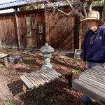 Bonsai trees stolen from Lake Merritt garden in Oakland