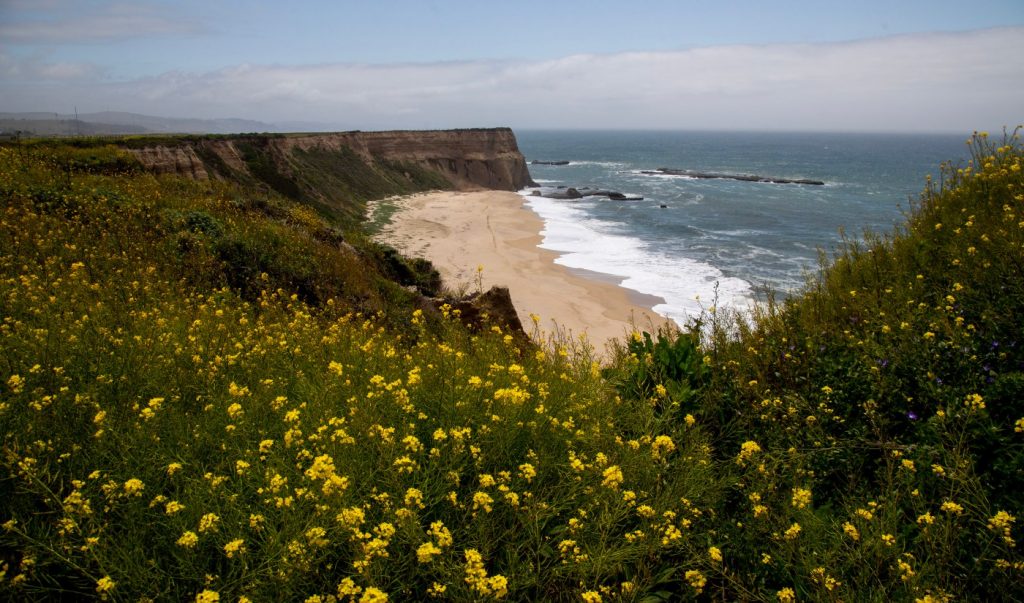 Half Moon Bay plane crash: How many people were aboard?