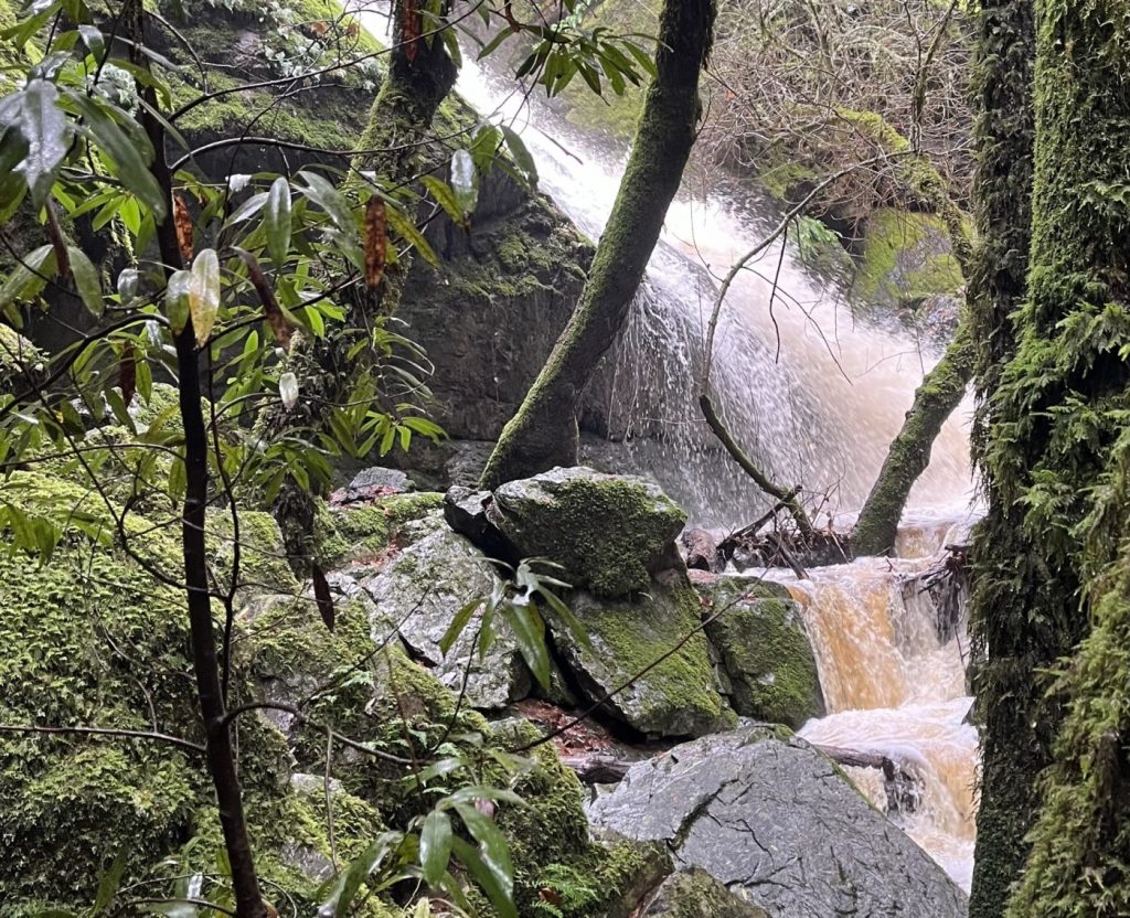 Marin County’s most dramatic winter hike