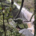 Marin County’s most dramatic winter hike