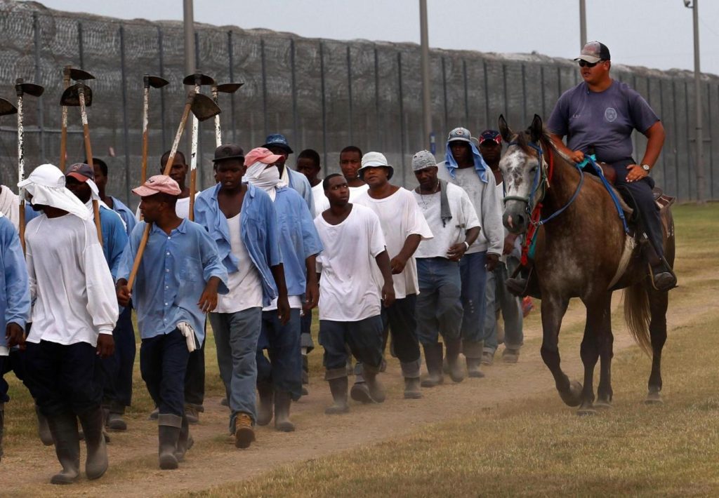 From Walmart to Whole Foods, US prisoners are part of a hidden workforce linked to hundreds of popular food brands