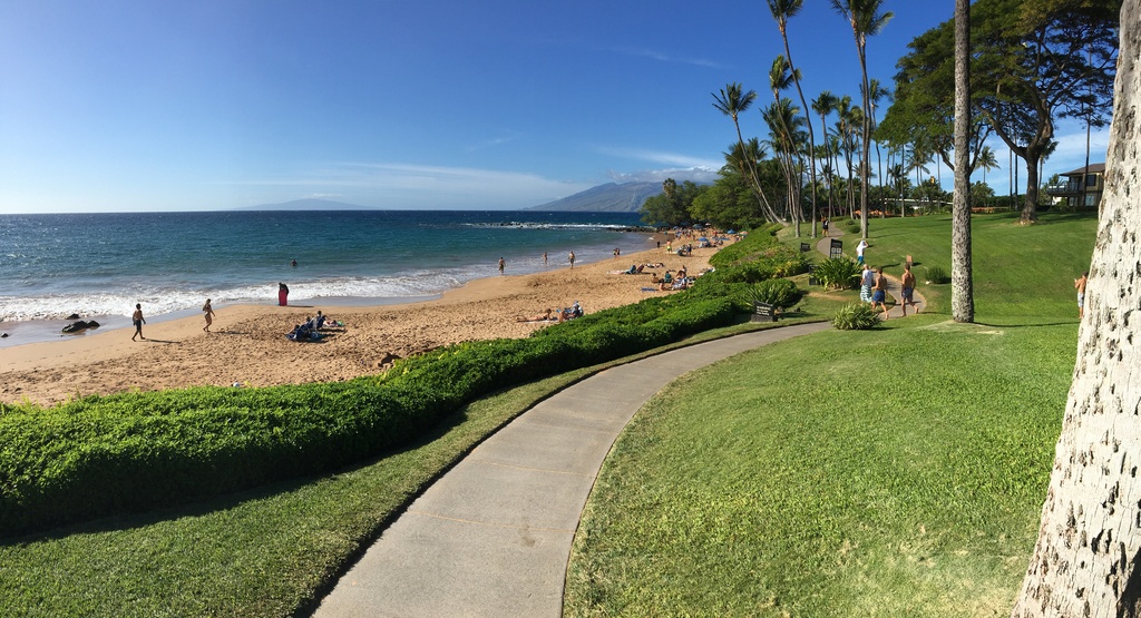 Surfer dies after shark “encounter” in Hawaii