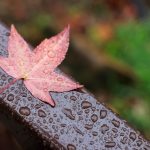 Rain likely to return Wednesday, but clear skies will return for Bay Area