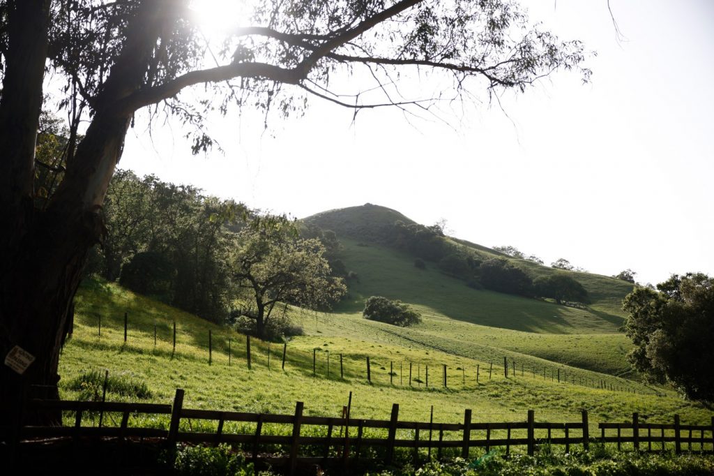 Real estate deal collapses for vast ranch on pristine San Jose land