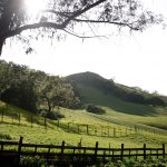 Huge San Jose ranch habitat and preservation effort makes big progress