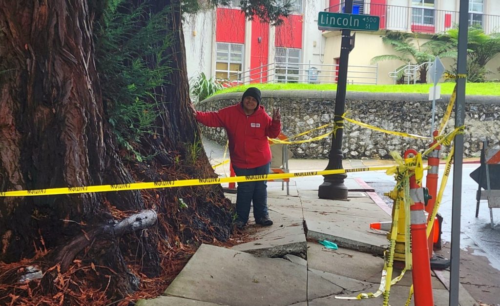 Huge Santa Cruz redwood will come down; objectors include ‘tree whisperer’