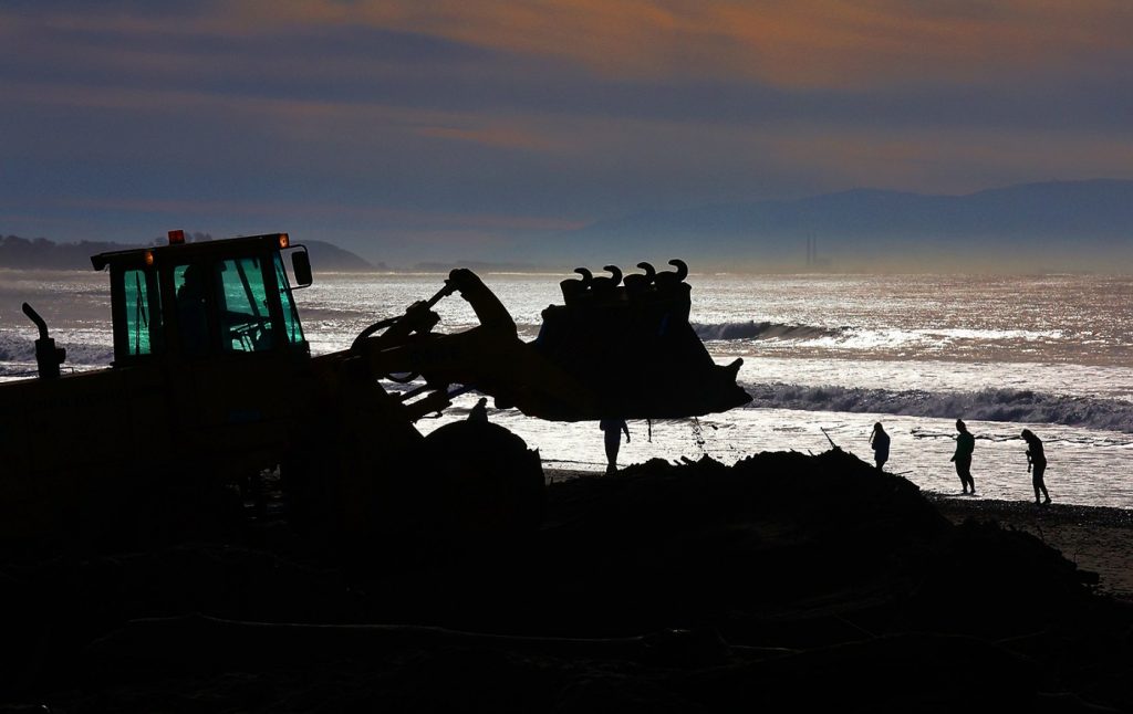 Driftwood destiny: Where all those beached logs come from and where they’re going