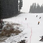 Video: Moose hits the slopes at Colorado resort