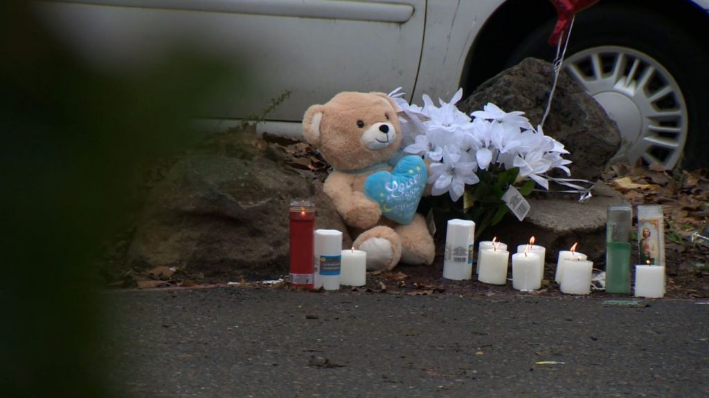 10-year-old Northern Califorina boy who allegedly shot and killed another child won’t face charges