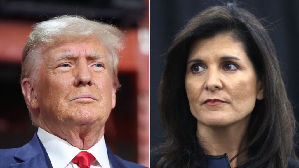 Trump dabbles in birtherism with latest attack on Haley