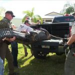 Family of 85-year-old woman killed by alligator in her backyard files wrongful death lawsuit