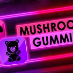 The 7 Best Mushroom Gummies To Try in 2024 for Relaxation & Energy