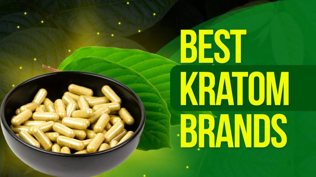 The 14 Best Kratom Brands of 2024 With Premium- Quality Kratom Products