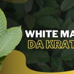 Best White Maeng Da Kratom Products, Strains, Benefits & Dosage [2024]