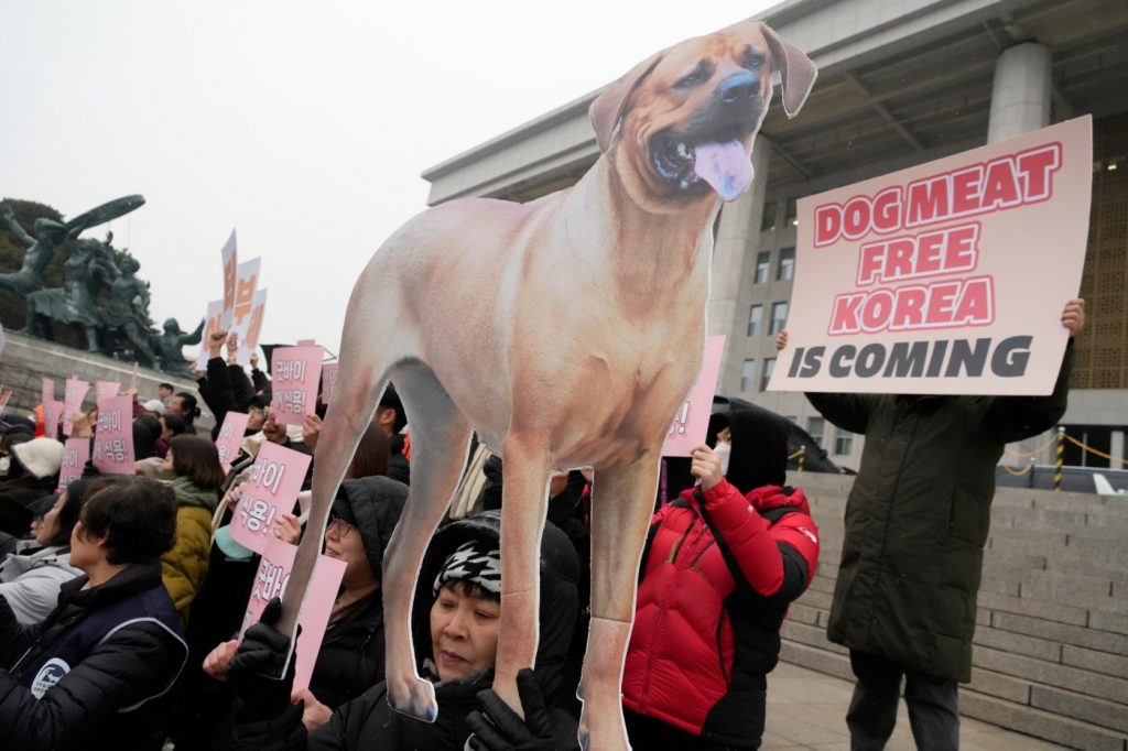 South Korea’s parliament bans production, sales of dog meat