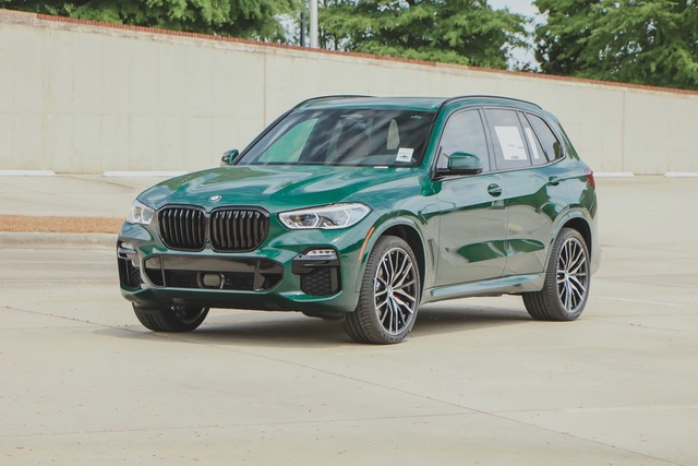 Top-line 2024 BMW SUV: Too much of a good thing