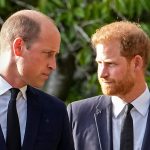 Prince Harry leaves U.K. after brief visit with father, night in hotel, snub by William