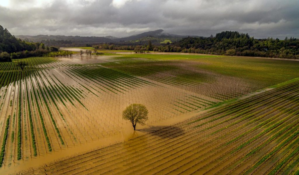 What does California’s rainy season mean for water supply?