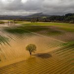 What does California’s rainy season mean for water supply?