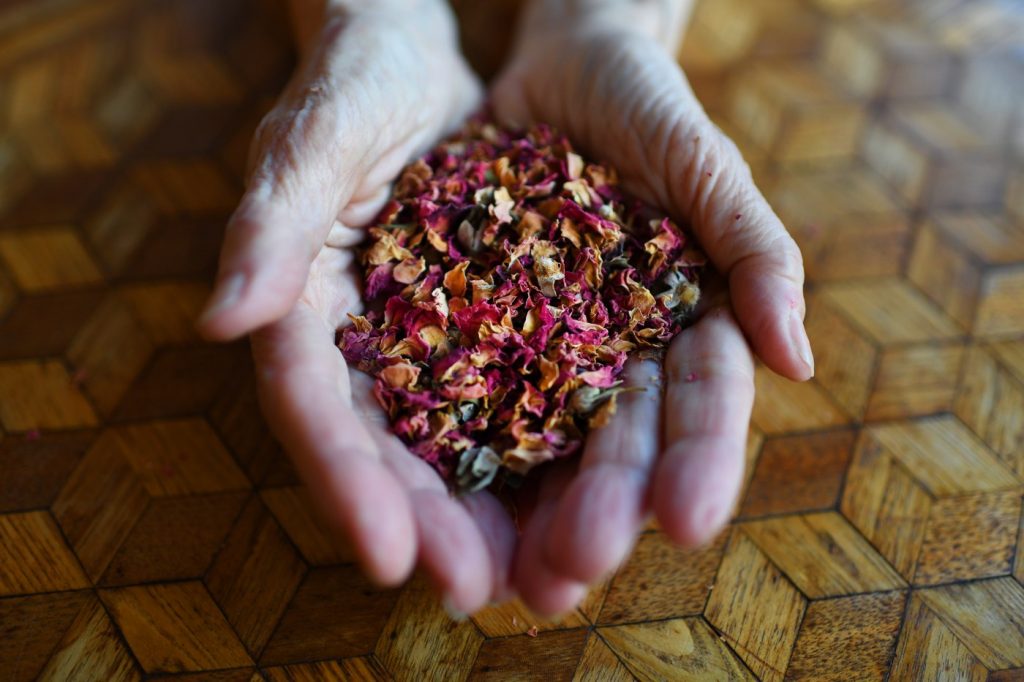 Stop and smell the roses — and dozens of other aromas — at the Aftel Archive of Curious Scents in Berkeley