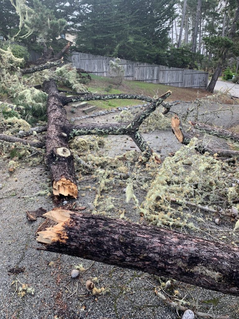 High winds, rain rage through Monterey County