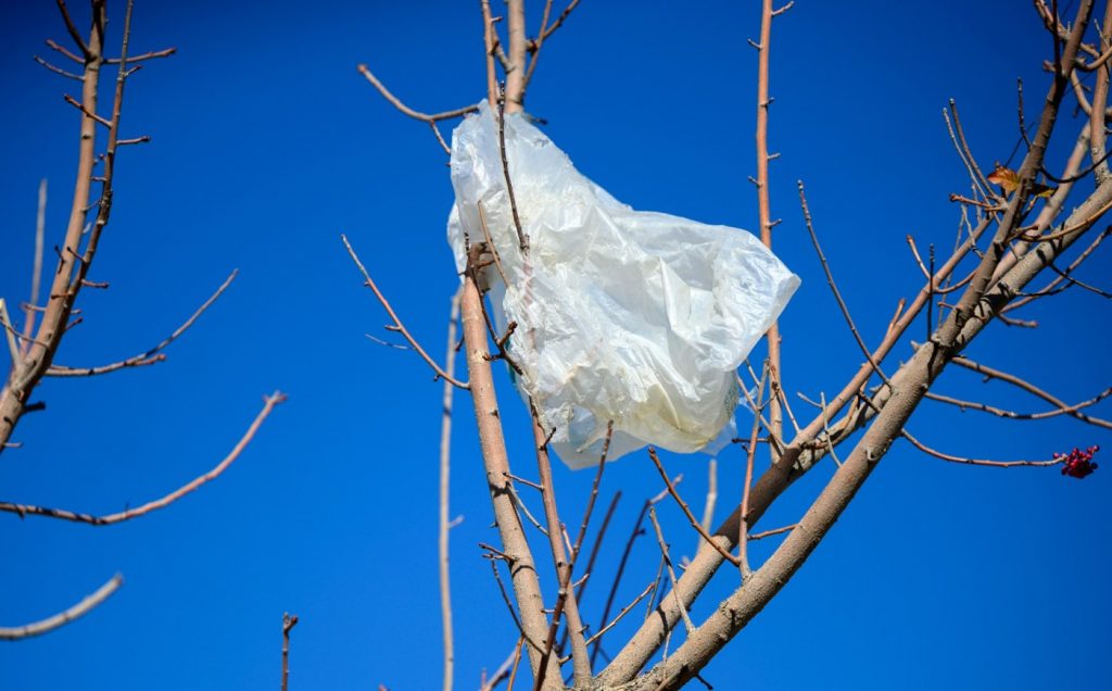 ‘Trader Joe’s policy’: New bill may eliminate plastic bags in California entirely