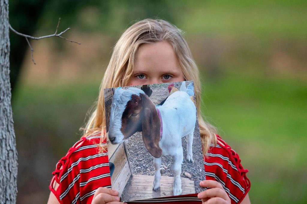 Commute the death sentences for county fair animals in California?