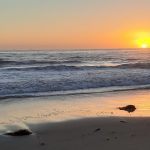 Carpinteria is much more than ‘the world’s safest beach’