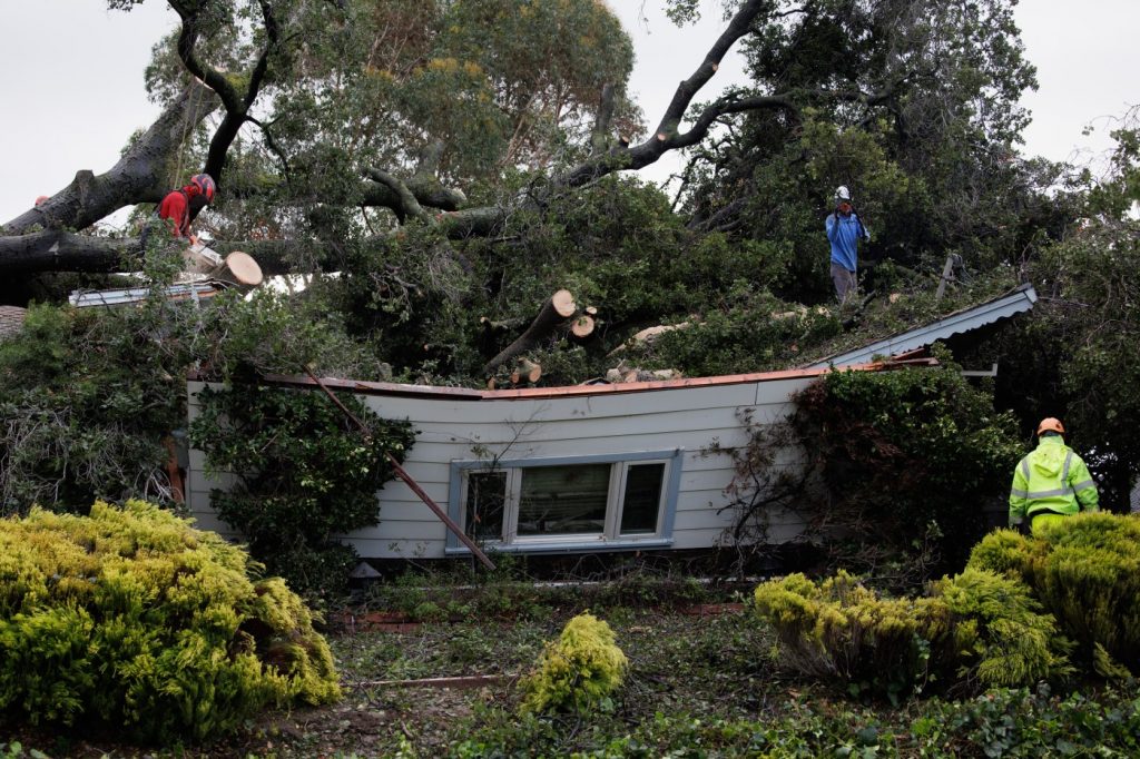 Photos: Bay Area storm topples trees, leaves thousands without power