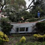 Photos: Bay Area storm topples trees, leaves thousands without power