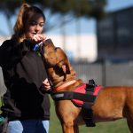 Paw Friendly? Proposed bill would prevent California landlords from banning pets in rentals