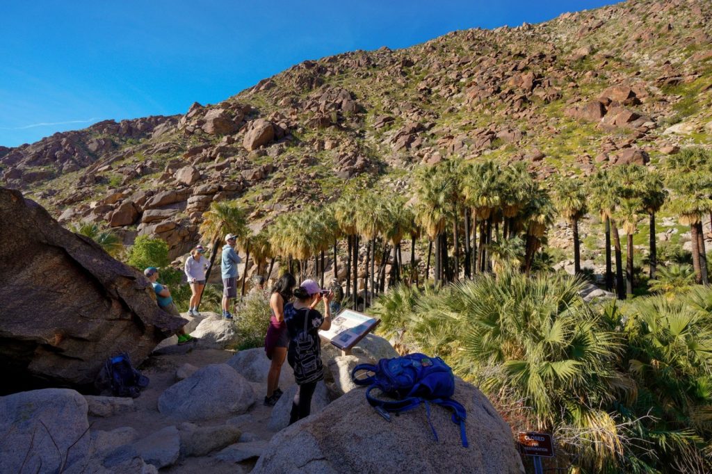 Embrace the desert season with a camping trip to Anza-Borrego this winter