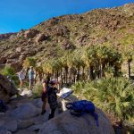 Embrace the desert season with a camping trip to Anza-Borrego this winter