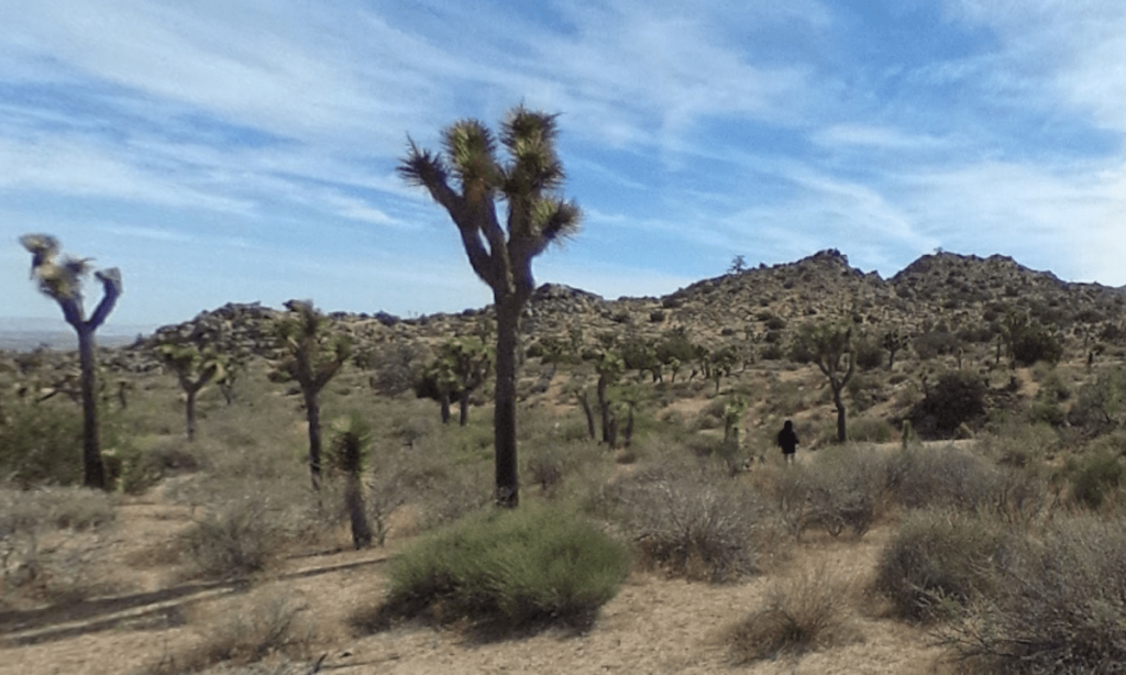 Hiker missing nine months is found dead in Joshua Tree park